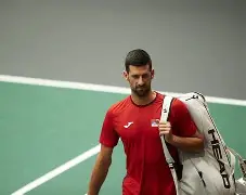 开云体育APP下载-太狠了！德约科维奇在热火比赛中伤愈复出Scout连续三场比赛得分超过连败，浓眉哥连续十场比赛得分超过惊艳表现