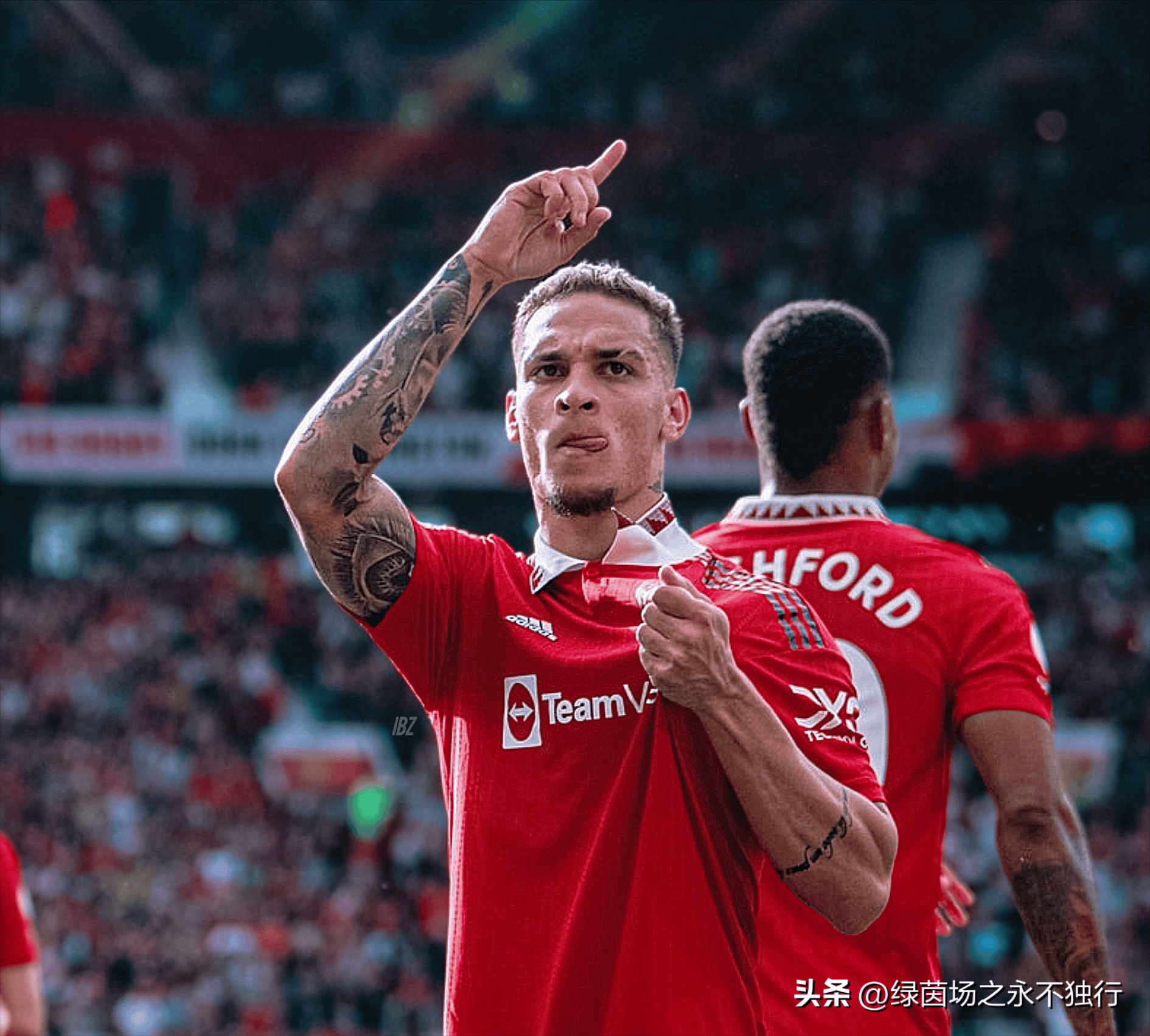 开云体育APP下载-纽卡斯尔主场不败率达7成